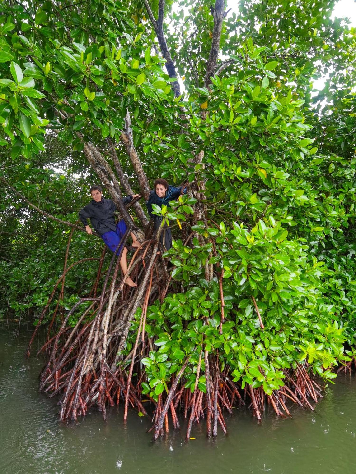 Santa Maria Hostel Munroe Island Mundrothuruth المظهر الخارجي الصورة